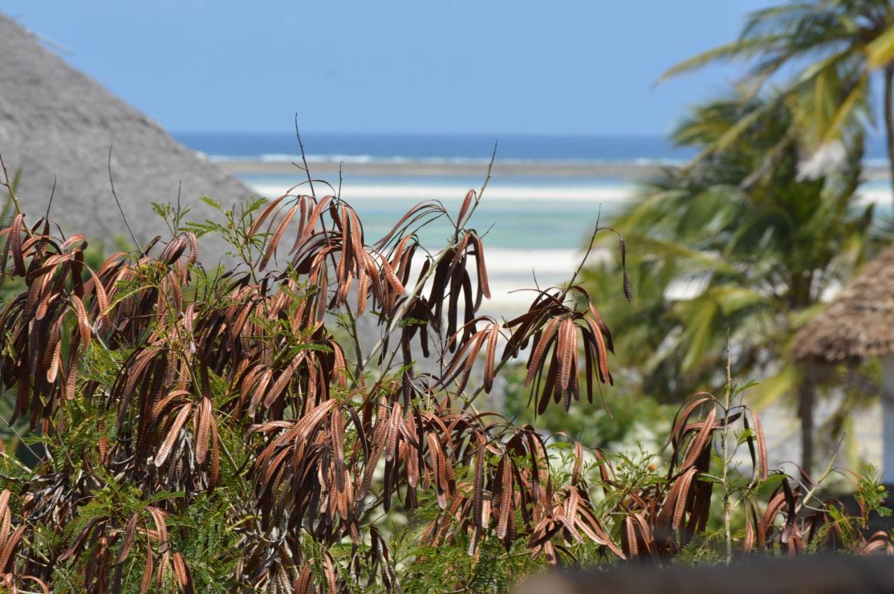 Pole Pole Beach House Watamu Esterno foto
