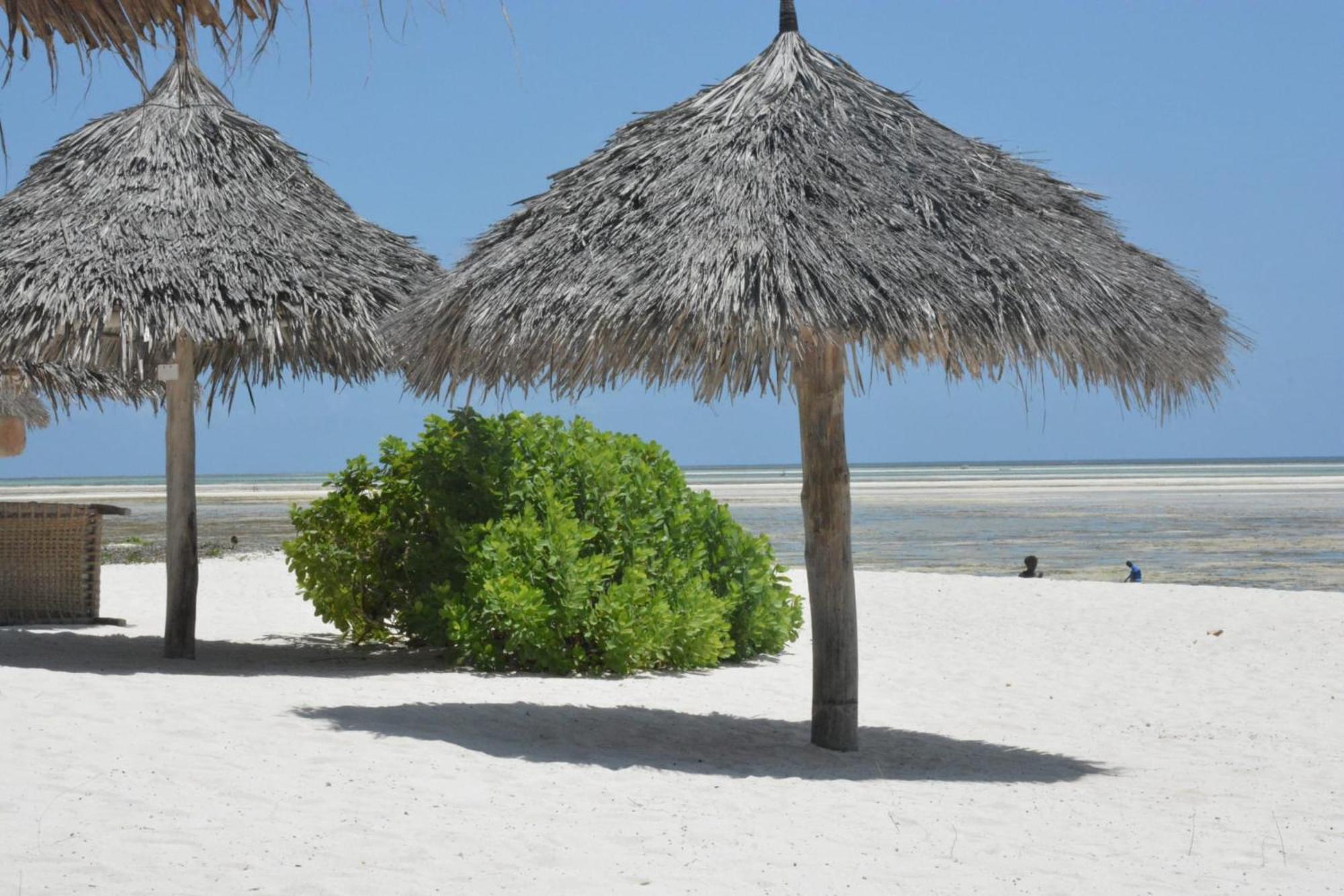 Pole Pole Beach House Watamu Esterno foto